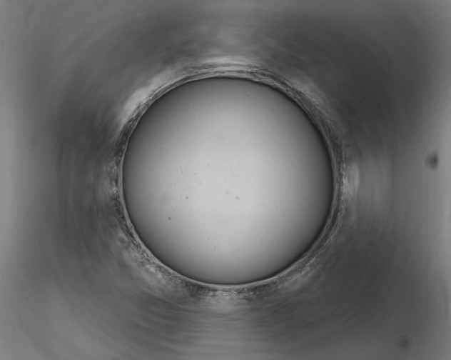 X0000116261357200912291447