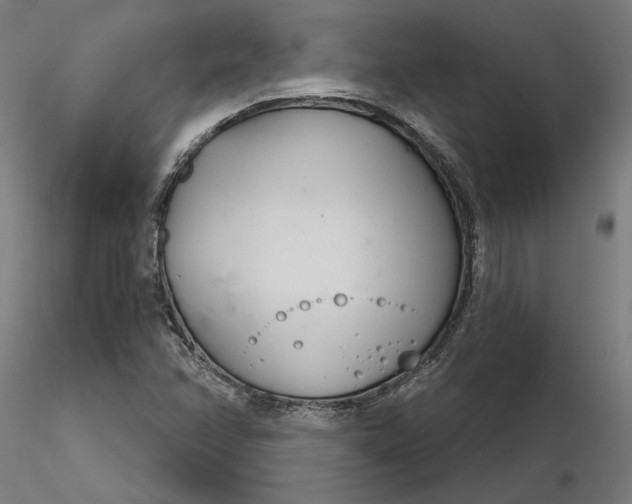 X0000116261358200912291447