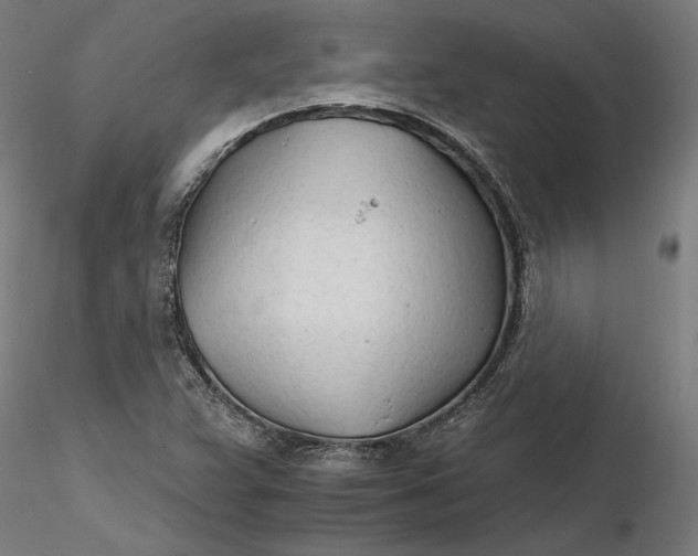 X0000116261359200912291447
