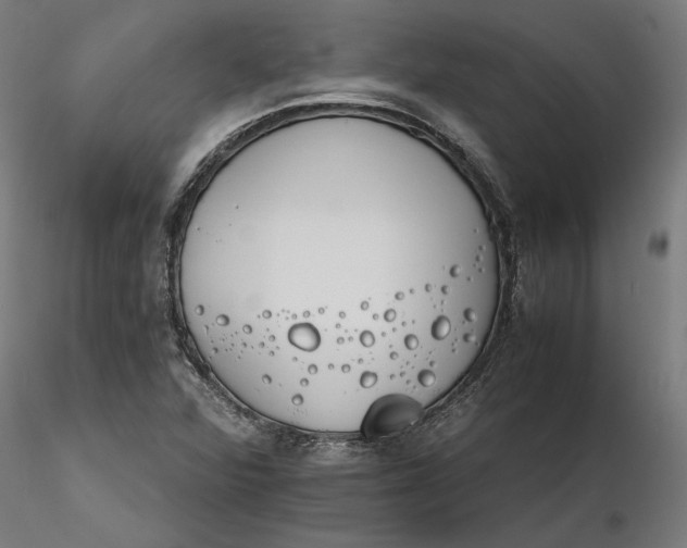 X0000116261360200912291447