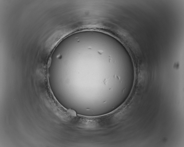 X0000116261361200912291447
