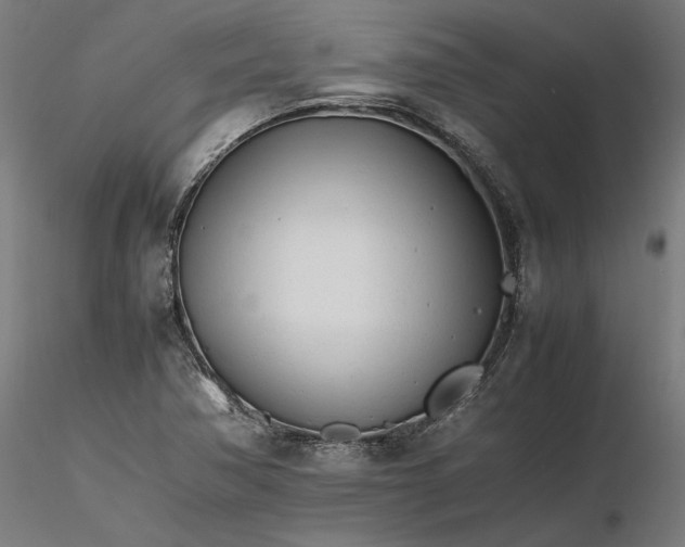 X0000116261362200912291447