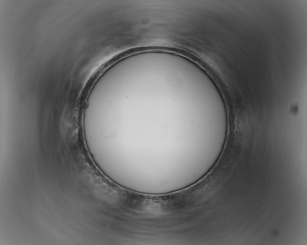 X0000116261364200912291447
