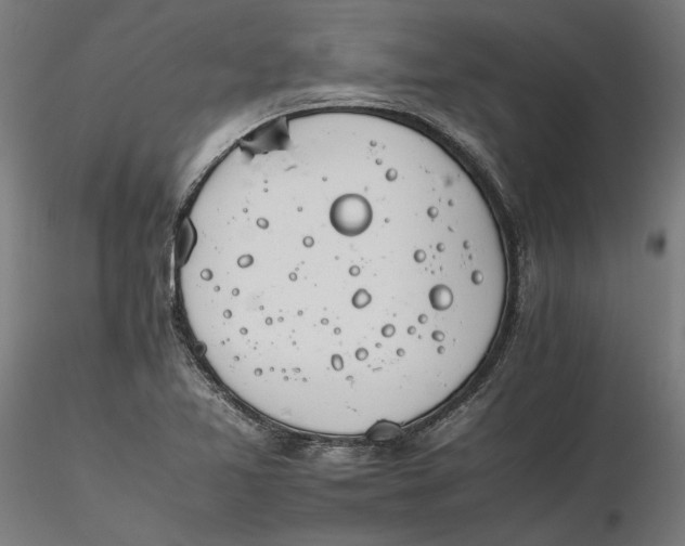 X0000116261365200912291447