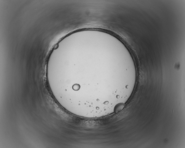 X0000116261366200912291447