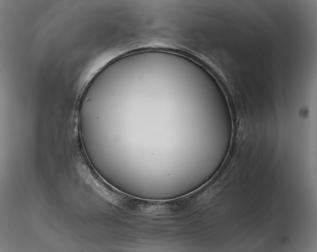 X0000116261367200912291447