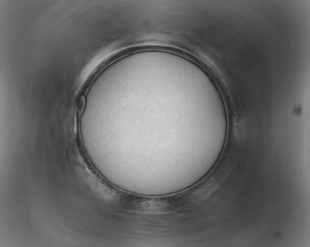 X0000116261368200912291447