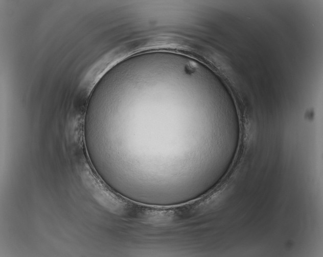 X0000116261369200912291447