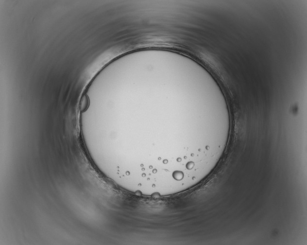 X0000116261370200912291447