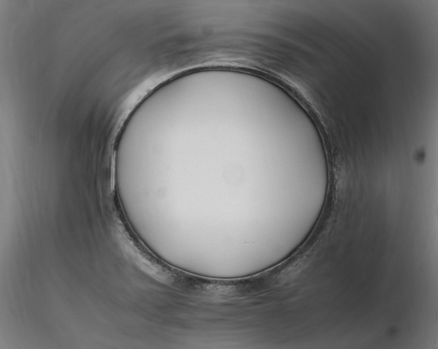 X0000116261371200912291447