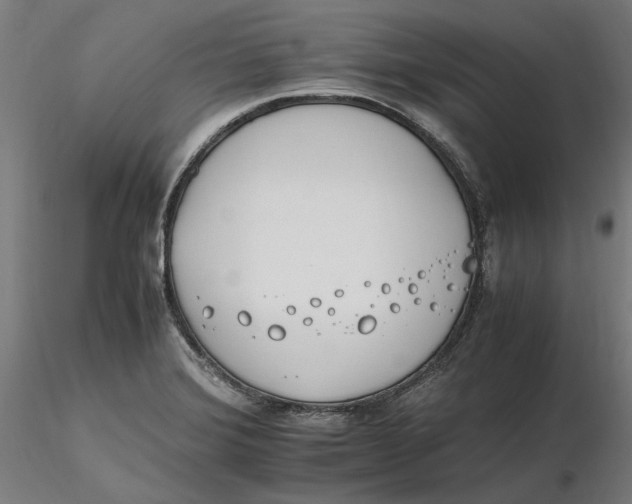 X0000116261372200912291447