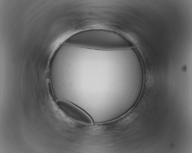 X0000116261373200912291447