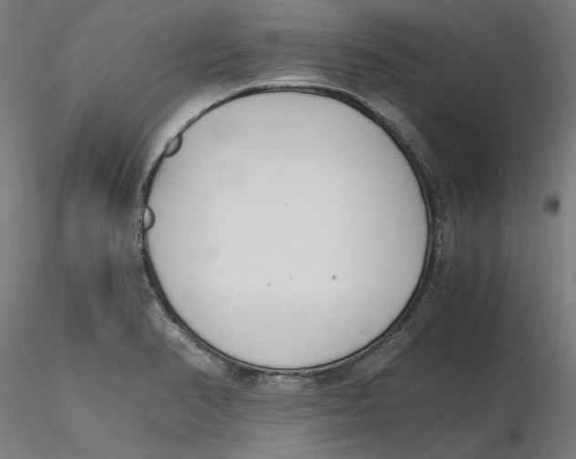 X0000116261374200912291447