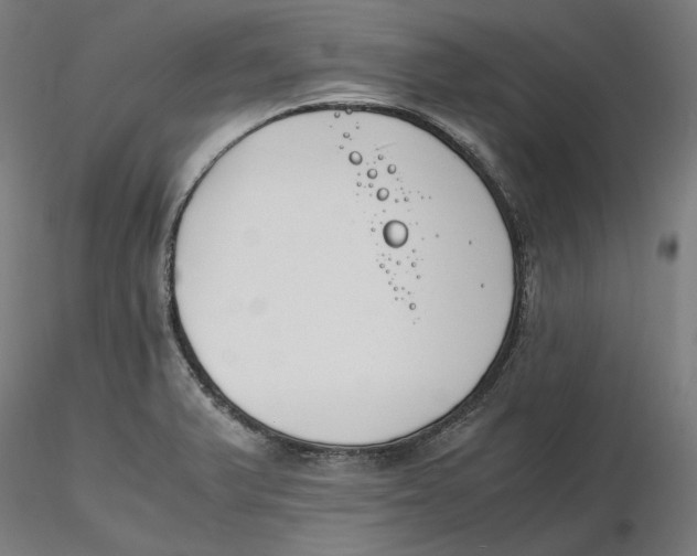 X0000116261375200912291447