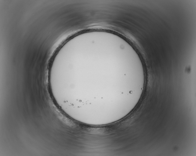 X0000116261376200912291447