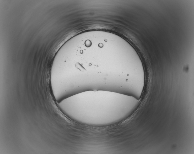 X0000116261377200912291447