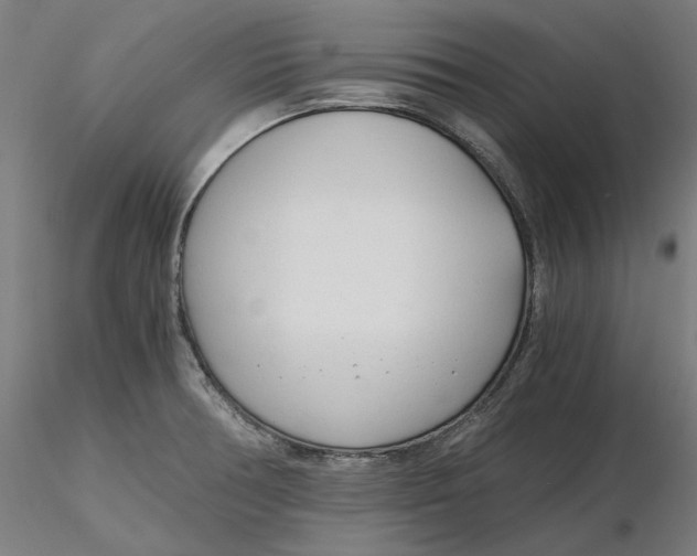 X0000116261378200912291447