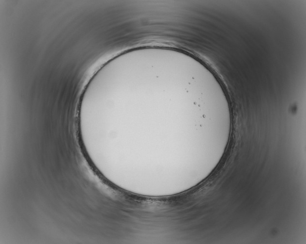 X0000116261379200912291447