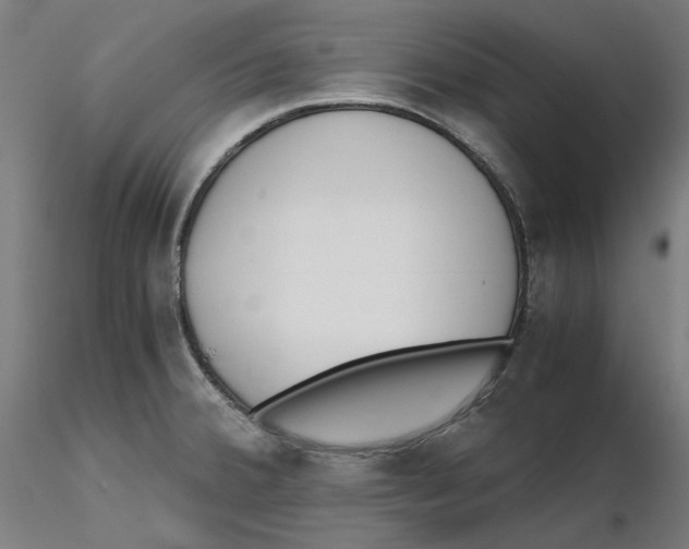 X0000116261380200912291447