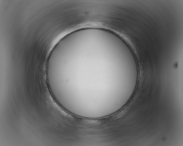 X0000116261382200912291447
