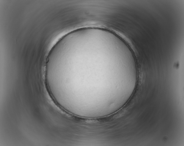 X0000116261383200912291447