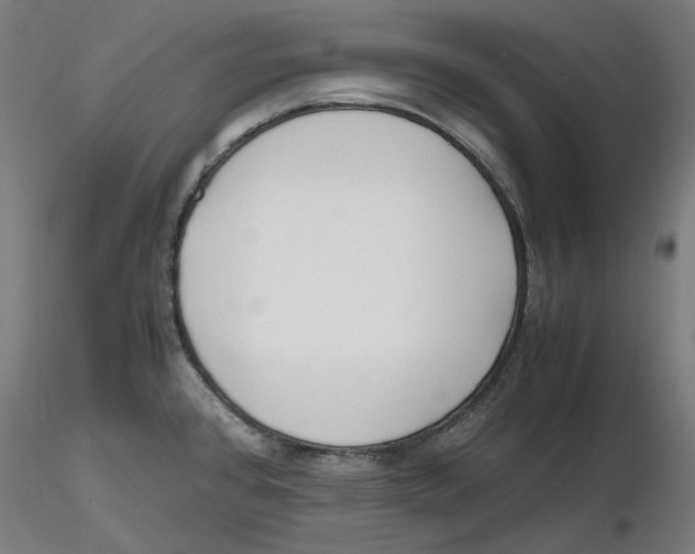 X0000116261384200912291447