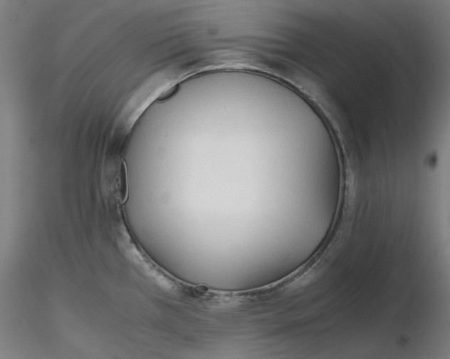 X0000116261385200912291447