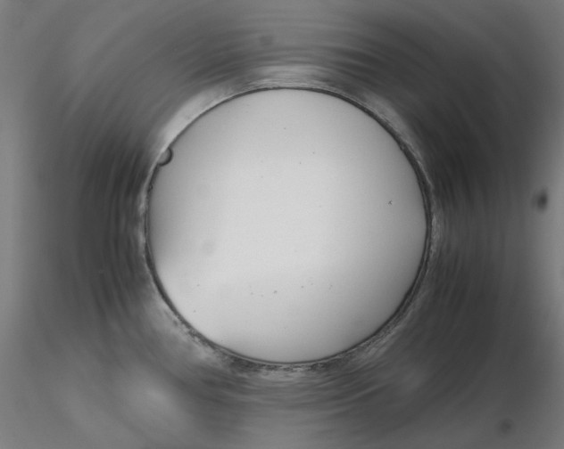 X0000116261386200912291447