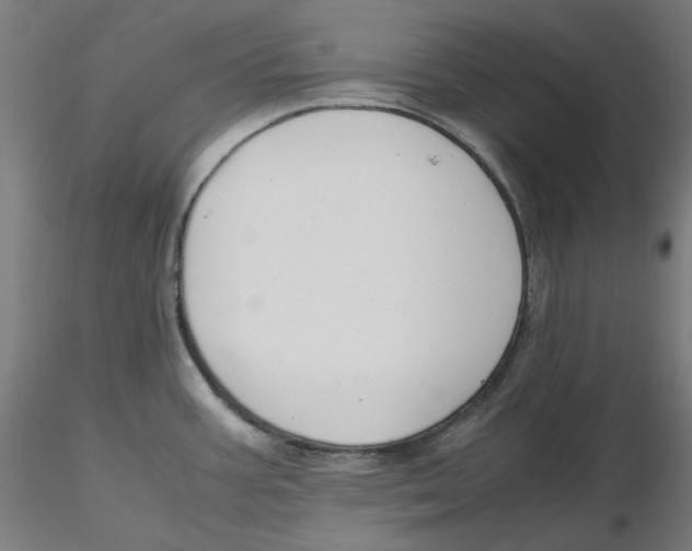 X0000116261387200912291447