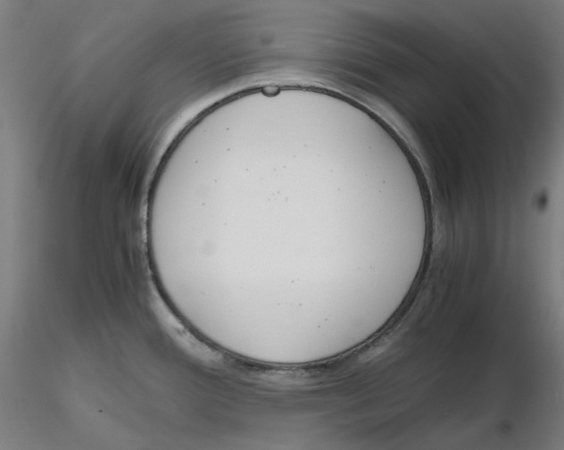 X0000116261388200912291447
