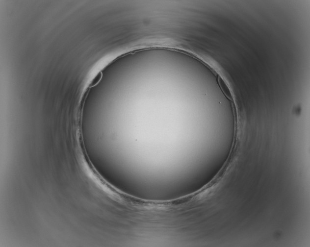 X0000116261389200912291447