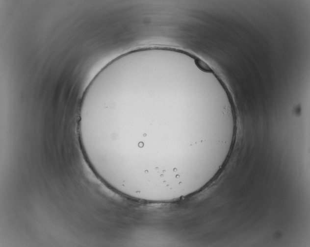 X0000116261390200912291447