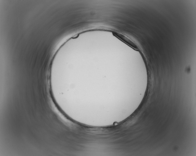 X0000116261391200912291447