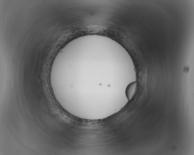 X0000116261393200912291446