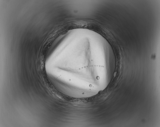 X0000116261394200912291446