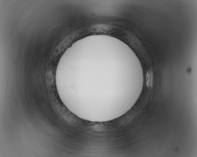 X0000116261395200912291446