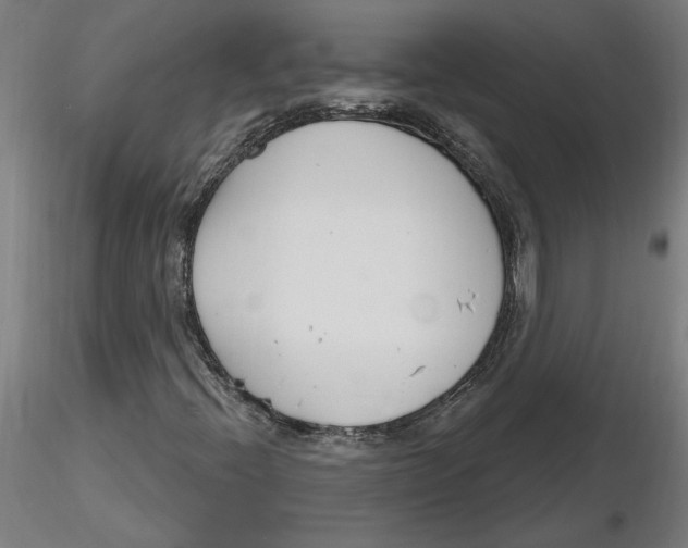 X0000116261396200912291446