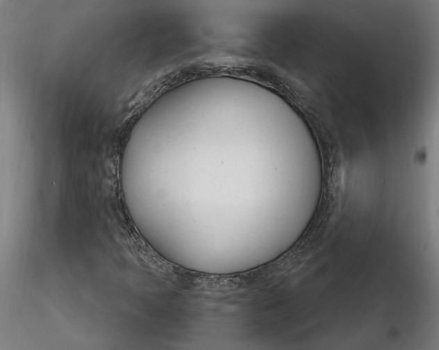 X0000116261397200912291446
