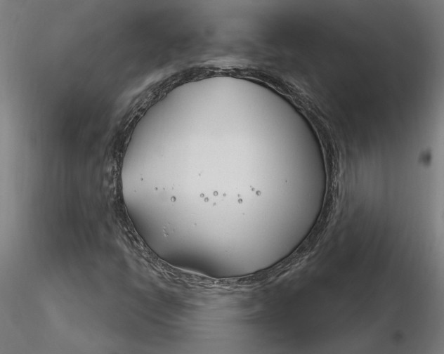X0000116261398200912291446