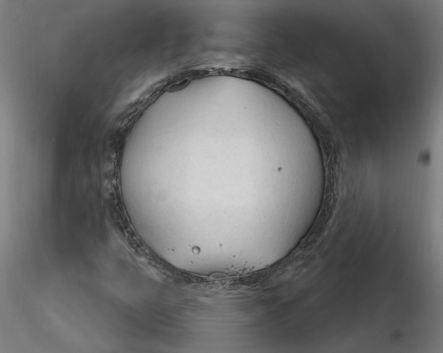X0000116261399200912291446