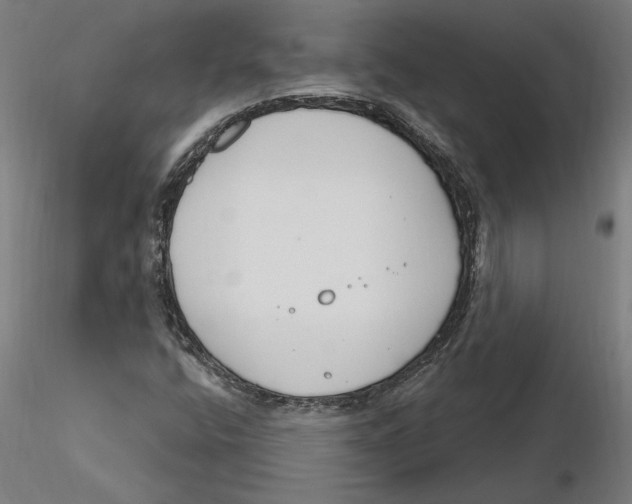 X0000116261400200912291446
