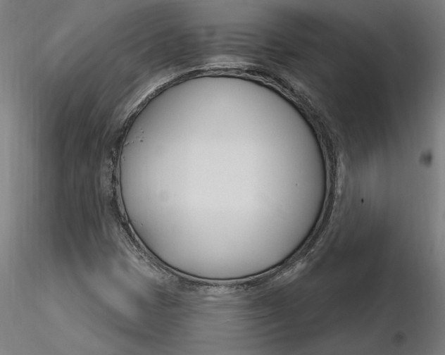 X0000116261401200912291446
