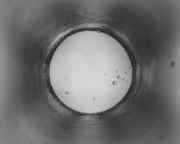 X0000116261404200912291446