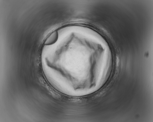 X0000116261405200912291446