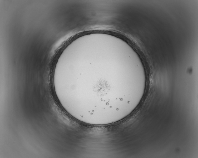 X0000116261406200912291446