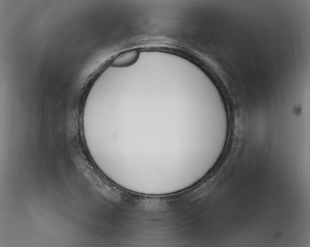 X0000116261407200912291447