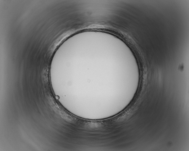 X0000116261409200912291447
