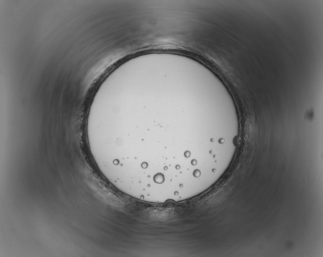 X0000116261410200912291447