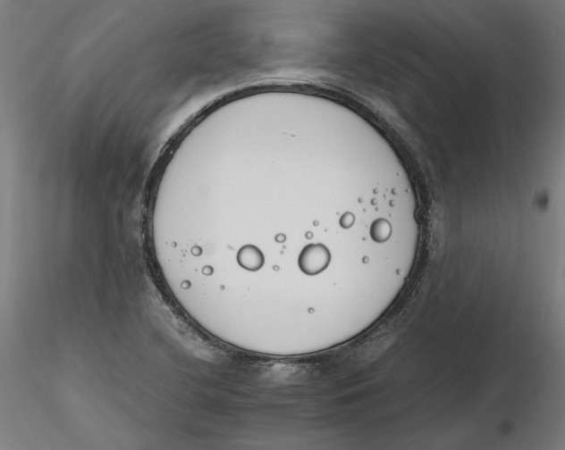 X0000116261412200912291447
