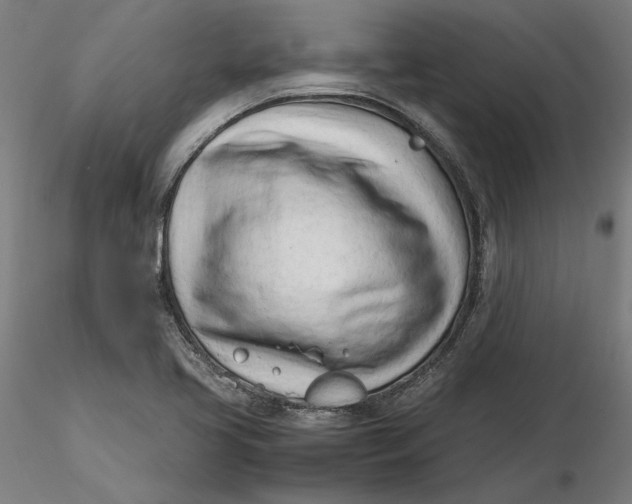 X0000116261413200912291447